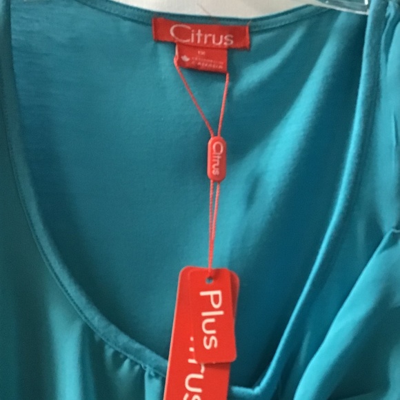 🌟 Plus Tank with Chiffon Overlay - Picture 3 of 6